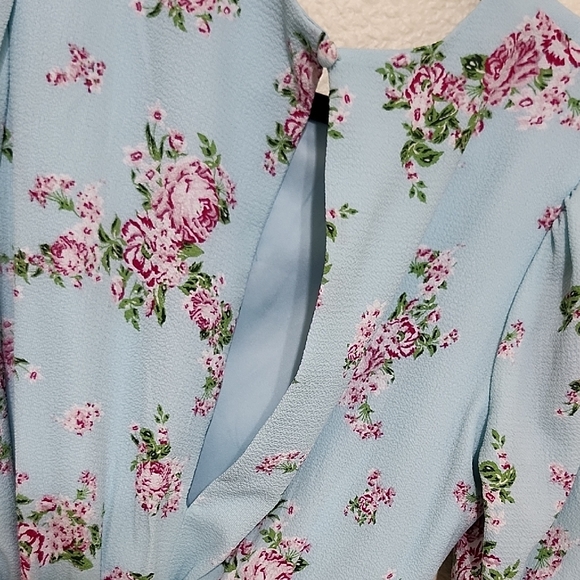 Sage Pink and Blue Puff Sleeve Sundress - Picture 6 of 12